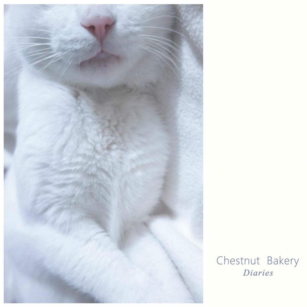 Chestnut Bakery - Diaries